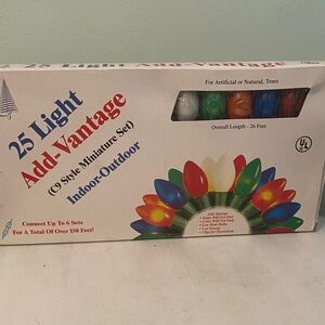 Add-Vantage 25 Light Indoor-Outdoor String Lights - Multicolor